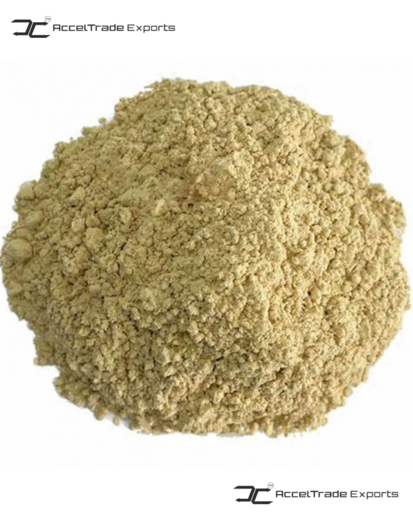 Shiitake Mushroom Powder 1