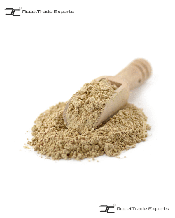 Shiitake Mushroom Powder 2