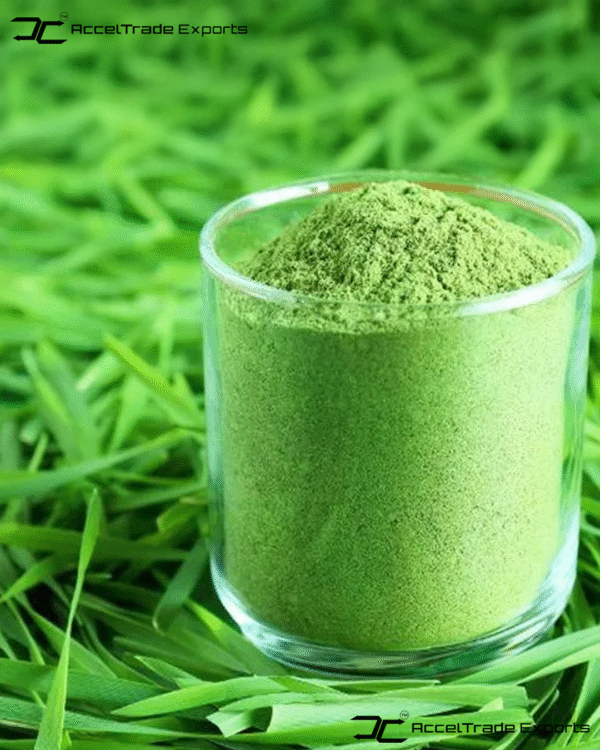 wheat grass powder